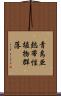 青島亜熱帯性植物群落 Scroll