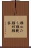 顔かたち Scroll