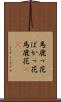 馬鹿っ花 Scroll