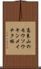 高良山のモウソウキンメイチク林 Scroll