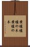 黄櫨 Scroll