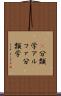 α分類学 Scroll