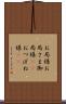 お局様 Scroll