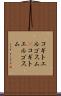 コギトエルゴスム(P) Scroll