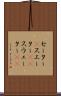 セーター(P) Scroll