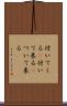 付いてくる(P) Scroll