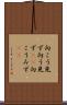 向こう見ず Scroll
