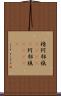 棈 Scroll