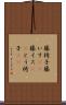 籐椅子 Scroll