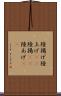 陸揚げ Scroll