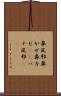 鼻風邪 Scroll
