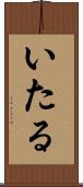 いたる Scroll