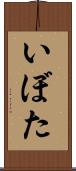 いぼた Scroll