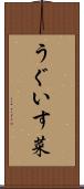 うぐいす菜 Scroll