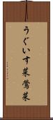 うぐいす菜 Scroll