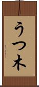 うつ木 Scroll