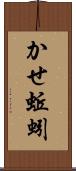 かせ蚯蚓 Scroll