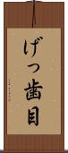 げっ歯目 Scroll