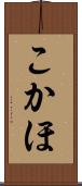こかほ Scroll