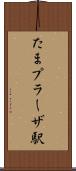 たまプラーザ駅 Scroll