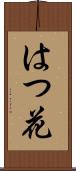 はつ花 Scroll