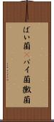 ばい菌(P) Scroll