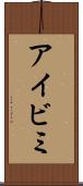 アイビミ Scroll