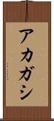 アカガシ Scroll