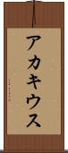 アカキウス Scroll