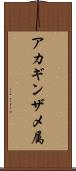 アカギンザメ属 Scroll