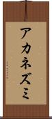 アカネズミ Scroll