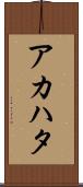 アカハタ Scroll