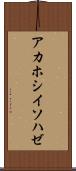 アカホシイソハゼ Scroll