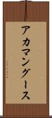 アカマングース Scroll
