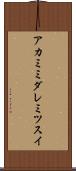 アカミミダレミツスイ Scroll