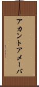 アカントアメーバ Scroll