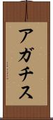 アガチス Scroll