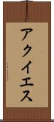 アクイエス Scroll