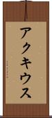 アクキウス Scroll
