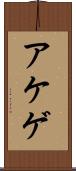 アケゲ Scroll