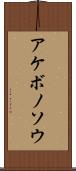 アケボノソウ Scroll
