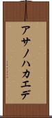 アサノハカエデ Scroll