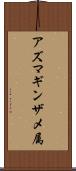 アズマギンザメ属 Scroll