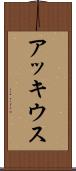 アッキウス Scroll