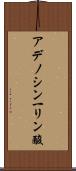 アデノシン一リン酸 Scroll