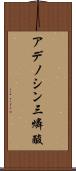 アデノシン三燐酸 Scroll