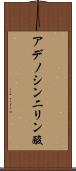 アデノシン二リン酸 Scroll
