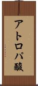 アトロパ酸 Scroll