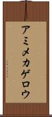 アミメカゲロウ Scroll