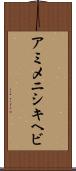アミメニシキヘビ Scroll